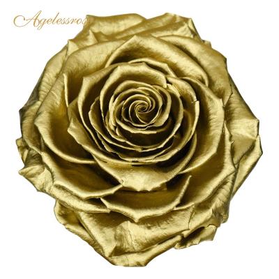 China Fashionable Gold Preserved and Eternity Rose Wedding Gift Use Only Last One Year for sale