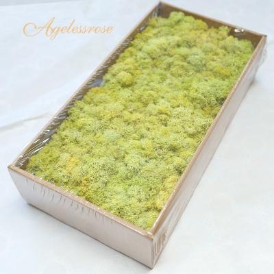 China 2020 Luxury India Preserved Moss In Bulk For Romantic Gift & Wedding Favors Gift Home Decor for sale