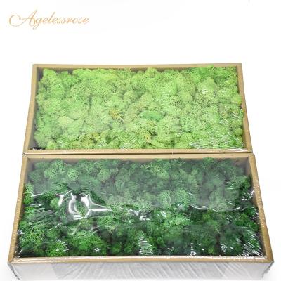 China Home Decorations.Gifts 2019 New Idea Real Product Preserved Moss Use In Office Wall Decoration for sale