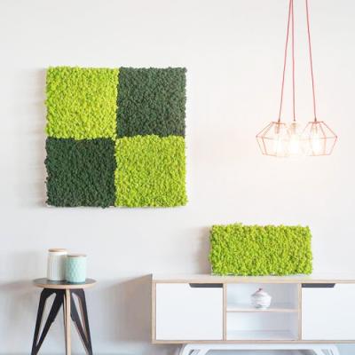 China Natural Preserved Home Decor Art Artificial Moss Wall Real Moss Home Decorations.Gifts and Outdoor Party for sale