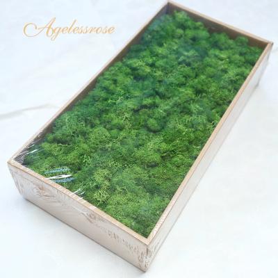 China Wholesale Colorful Soft Long Lasting Stabilize DIY Real Preserved Reindeer Moss For Christmas And Wedding Favors Gift Home Decor for sale