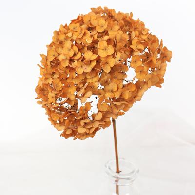 China Natural touch 2021 popular real touch good price preserved hydrangea for home decoration and gift craft for sale