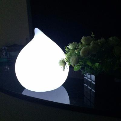 China Hot Sale Decoration Rechargeable Cordless LED Light Decoration Table Fishing Lamp for sale