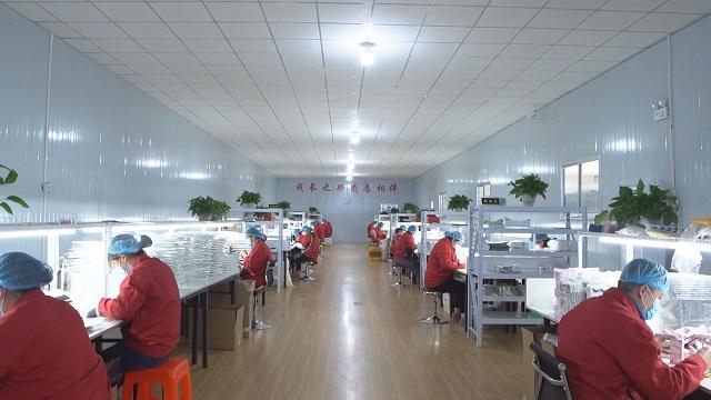 Verified China supplier - Qingdao Kingdaflex Industrial Co., Ltd.