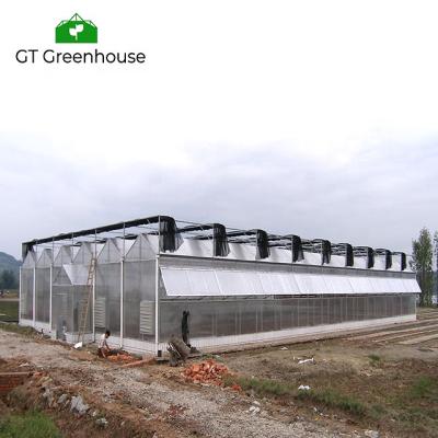 China Stable Structure Easily Assembled Multi-span Plastic Sheet Greenhouse Tomato Greenhouse And Strawberry Greenhouse Turnkey Project for sale