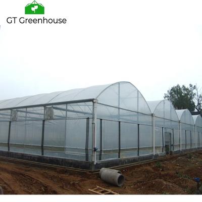 China Stable Structure Easily Assembled UV Resistant 200 Micron Plastic Sheet Greenhouse For Sale for sale