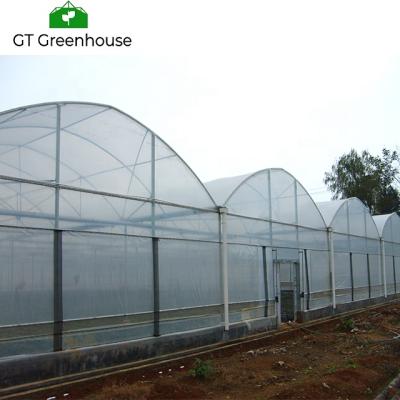 China Stable Structure Easily Assembled Large Plastic Multi-span Agricultural Sheet Greenhouse Turnkey Project Tomato Greenhouse for sale