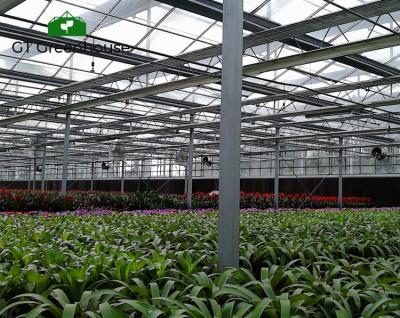 China Multi Span Agriculture Plant Growth Film Greenhouse Commercial Plastic Sheet Greenhouse For Sale for sale