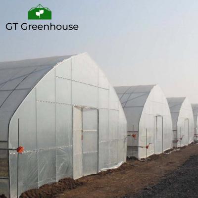 China Stable Structure Easily Assembled Multi-span Greenhouse Air-inflated Sheet Plastic Single or Multi-span Greenhouse for sale