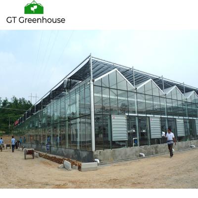 China Glass Galvanized Steel Commercial Glass Greenhouse Frame for sale