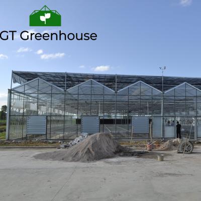 China Multi Glass Large Span Venlo Agricultural Glass Greenhouse For Tomato for sale