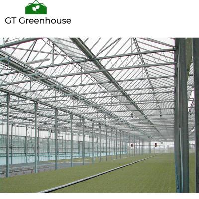 China Agricultural Insulated Victorian Glass Tomato Tempered Glass Greenhouse for sale