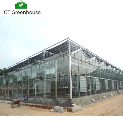 China Stable Structure Easily Assembled Vegetable Systems Hydroponic Equipment Multi-span Glass Greenhouse for sale