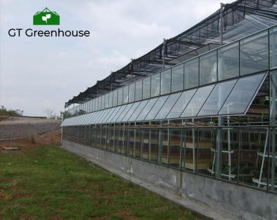 China Sichuan GT Venlo High Light Transmittance Luxury Winter Garden House Hot Galvanized Roof Glass Greenhouse for sale