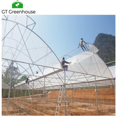 China Stable Structure Easily Assembled Agricultural Greenhouse Hothouse Agricultural Greenhouse Hot Sale Tropical Weather for sale