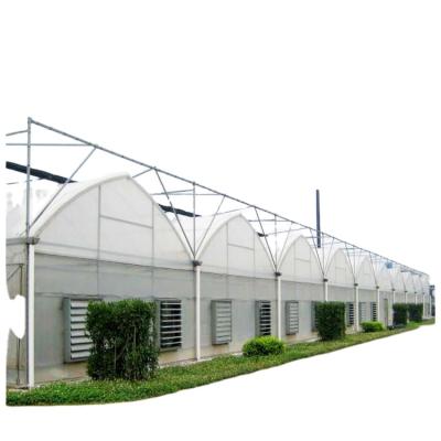 China Stable Structure Easily Assembled Sawtooth Greenhouse High Tunnels Greenhouse For Tropical Agriculture for sale