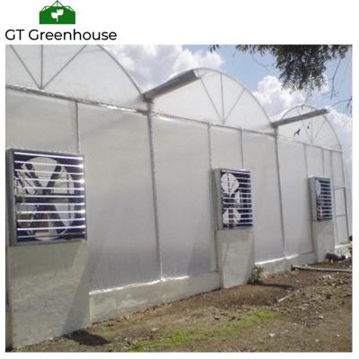 China Low Cost PE Plastic Sheet Agricultural Covered Sawtooth Greenhouse Commercial Galvanized Steel Frame Greenhouse for sale