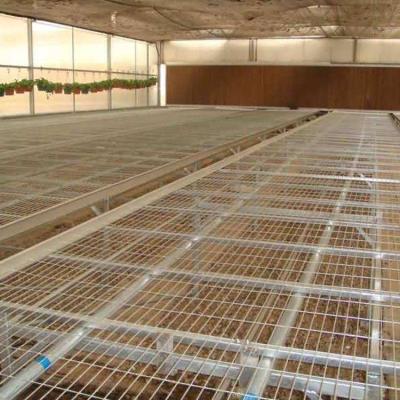 China Low Cost Rolling Bench Convenient Growing Tables Commercial Plants Wire Mesh Greenhouse Bench for sale