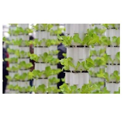 China Stable structure grow container growing media dwc hydroponic system for sale