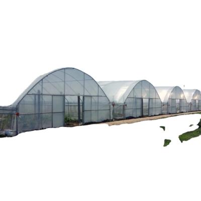 China Farm GT Greenhouse Water Cooling Pad For Greenhouse And Poultry House And Light Dep Greenhouse for sale