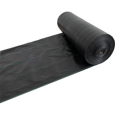 China Black Roll Agricultural Plastic Ground Cover PP Tarpaulin PP Ground Cover Woven Fabric Material for sale