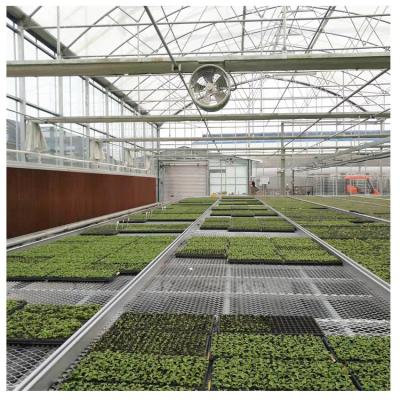 China Hot Sale PE Galvanized Automated Steel Structure Greenhouse Multi-span Agricultural Greenhouses for sale