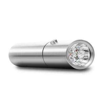 Chine Stylo portatif de thérapie de lumière de la torche 660nm 630nm LED de thérapie de la lumière 850nm rouge à vendre