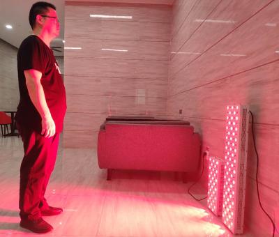 China Volle Lichttherapie-Platten-gewerbliche Hauptnutzung des Körper-600W 660nm 850nm LED zu verkaufen