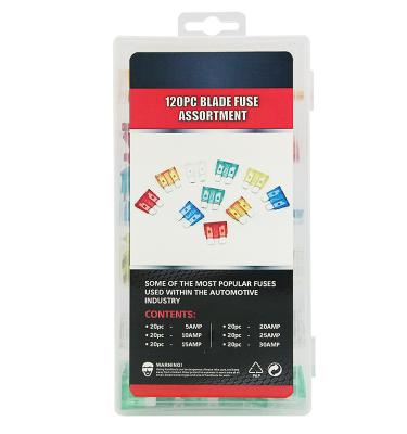 China 120PCS Mini Automotive Truck Blade Fuse Assortment Set TW6882908 for sale