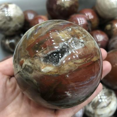 China China Wholesale Crystal Stones Crystal Ball Natual Healing Petrified Wooden Sphere For Decoration for sale