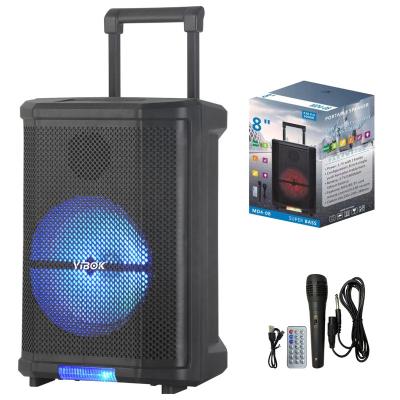 China LED Flashing Light Portable Amplifier Outdoor Karaoke Loud Outdoor Loud Speakers 8 Inch Woofer Radio Trolley Large Karaoke Audio Vibration Exciter for sale