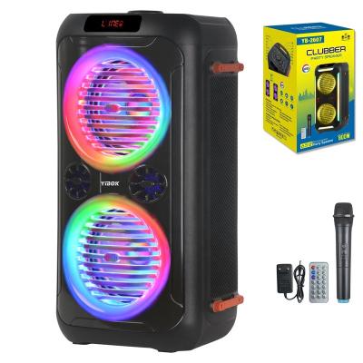 China Daul 6.5inch Partybox p rechargeable plastic audio speaker LED flashing light sound speaker 1000 watt speaker box with wireless microphone for sale