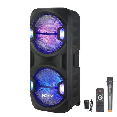 China Professional DJ Bass Speakers Box Speaker Rechargeable 12 Inch LED Flashing Light Dual Woofer Partybox with LED Display for sale