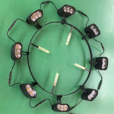 China 4pcs 6W LANDSCAPE Updown Tree Ring Lights Park Yard Lighting Palm Tree Light with Ring Diameter 300mm for sale