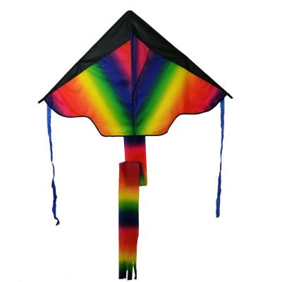 China Neon Color Customized All Kinds Adult Ripstop Polyester Kid Delta Neon Kite for sale