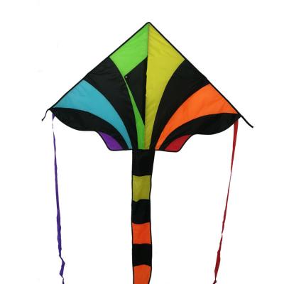 China Hot Selling High Quality Color Fountain Rainbow Taffeta Rainbow Color Polyester Outdoor Kite for sale