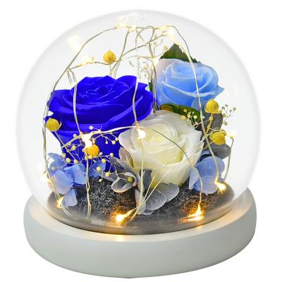 China High Quality Durable Preserved Flower Gold Rose in Glass Preserved Dry Flower for Valentine's Day for sale