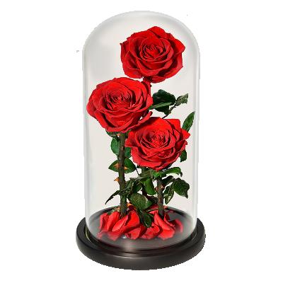 China Crafts Gift Zuifangxin Factory Wholesale Durable Immortal Flower Glass Dome Preserved Rose In Glass Dome for sale