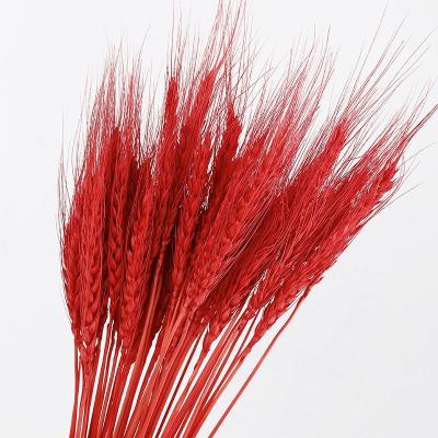 China Popular Natural Fashional Artificial Flowers Dried Wheat Flower Dried Wheat Amazon Flower Decors For Home Decor for sale