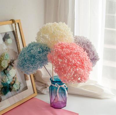 China Touch Home and Anna Hydrangea FlowerFor Tall Stem Wedding Preserved Dry Decorative Wholesale Durable and Natural Valentine's Day Long for sale