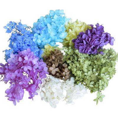 China Wholesale 100% Natural Home Wedding Decoration Flower Decor Preserved Dry Natural Eternal Hydrangea Flower Anna for sale