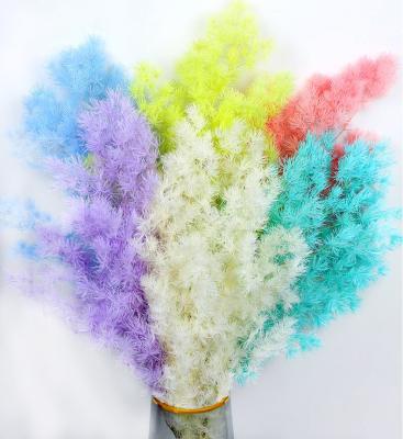 China Fashional Wholesale Indoor Dry Flower Preserved Flower Bouquet Myrioeladus Penglaisong For Office Decor for sale