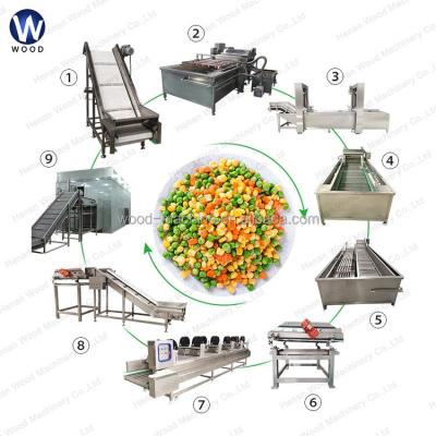 China Easy Operation Beans Corn Freezing Clean Root Leafy Vegetable Asparagus Washing Machine Corn Production Line for sale