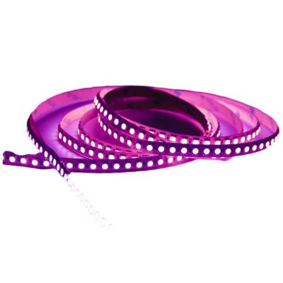 China Residential Hotel Garden Multiple Colors Flexible Led Strip Lights Available Spectrum Led Strip Light For Outdoor Parties for sale