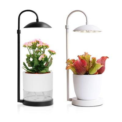 China Eco-friendly Mini Indoor Full Spectrum Grow Lights For Succulent for sale