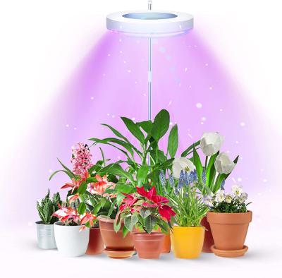 China Phytolamp For Plants Insert Ring To Stem Plant Growth Telescopic LED Lamp Full Spectrum Copy Sun Indoor Household More Meat Fill Light for sale