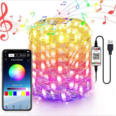 China Christmas Decoration Soft Warm White USB Powered Christmas Garland Led String Lights Indoor Bedroom Wedding Decoration Home APP Control for sale