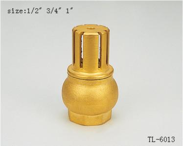 China TL-6013 check valve 1/2