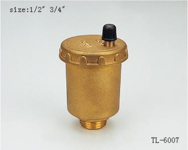 China TL-6007 check valve 1/2