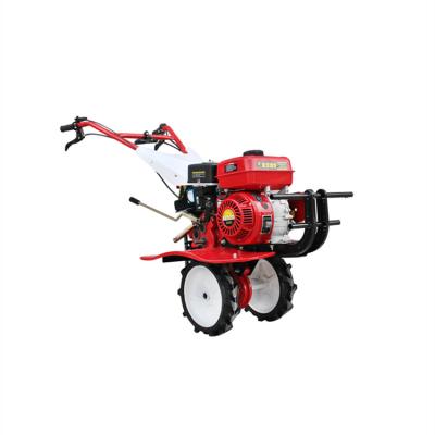 China Hotels China Factory Supply 2 Wheel Cultivating Walking Tractors With Double Plow Corn Seeder for sale